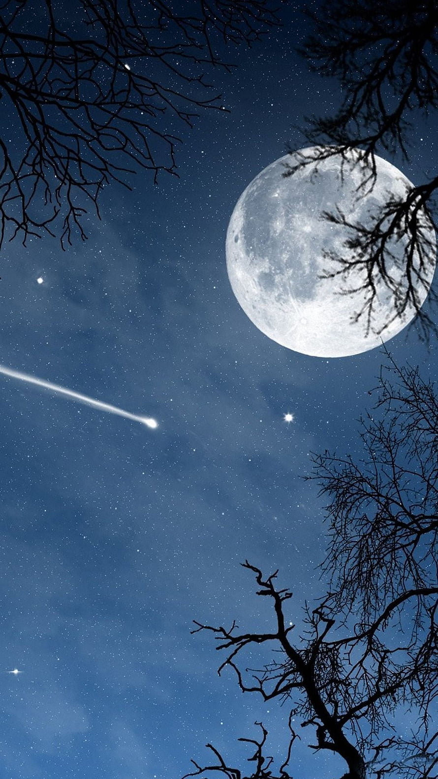 Full Moon and Shooting Star Night Sky with Silhouetted Tree Branches HD phone wallpaper