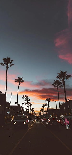 Los Angeles Sunset Boulevard with Palm Trees and Traffic at Dusk HD phone wallpaper