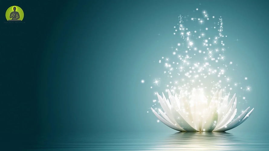 Glowing White Lotus Flower with Magical Sparkles on Calm Water HD wallpaper