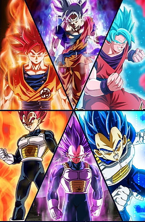 Dragon Ball Super Goku and Vegeta Super Saiyan God SS Evolved and Ultra Instinct Forms HD phone wallpaper