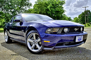Deep Blue Ford Mustang GT 5.0 Coupe Parked on Gravel with Lush Green Trees HD wallpaper