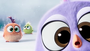 Angry Birds Movie Hatchlings in Snowy Winter Scene with Purple Bird Close-Up HD wallpaper
