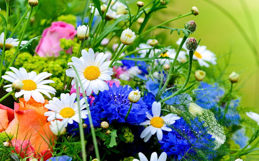 Vibrant Summer Bouquet of White Daisies, Blue Cornflowers, and Orange Roses HD wallpaper