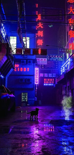 Cyberpunk Alleyway With Neon Signs And A Silhouette Cat HD phone wallpaper