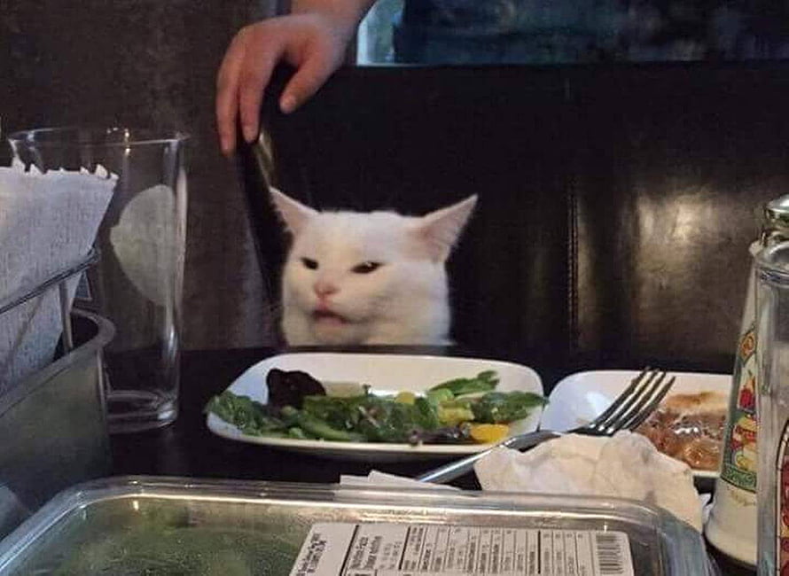 White Cat Peeking Over Restaurant Booth With Salad Plate HD wallpaper