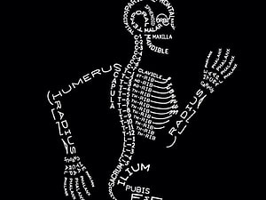Human Skeleton Anatomy Diagram Formed by Bone Names on Black Background, X Rays For Prospective Students By Diane Fleury Evans, Radiologic Technologist HD wallpaper