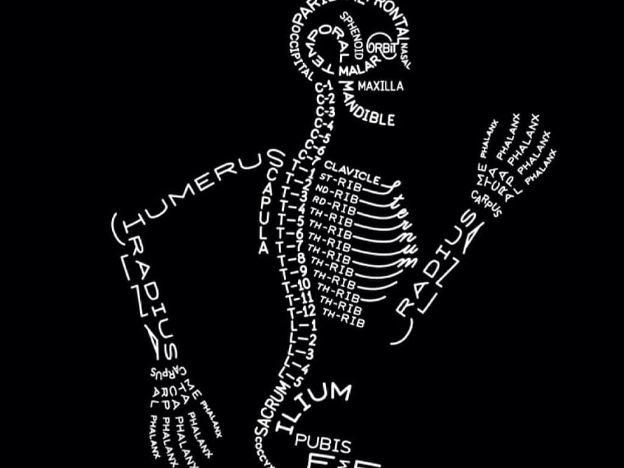 Human Skeleton Anatomy Diagram Formed by Bone Names on Black Background, X Rays For Prospective Students By Diane Fleury Evans, Radiologic Technologist HD wallpaper