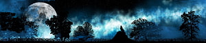 Lone Wolf Howling at Full Moon Over Silhouetted Forest Under Starry Night Sky HD wallpaper