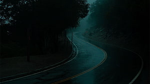 Winding Forest Road at Night in Heavy Fog and Rain HD wallpaper