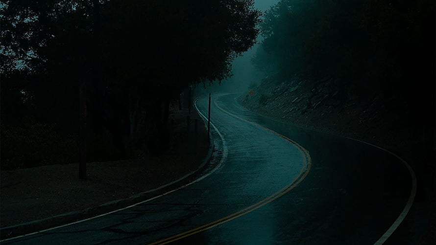 Winding Forest Road at Night in Heavy Fog and Rain HD wallpaper