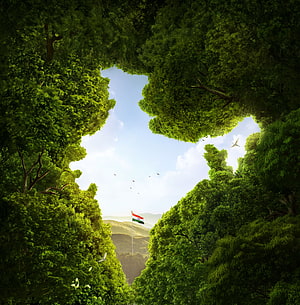 Indian Flag Waving in Lush Green Forest Valley with Birds Flying HD phone wallpaper