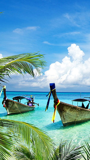 Traditional Thai Longtail Boats Anchored in Turquoise Tropical Waters HD phone wallpaper