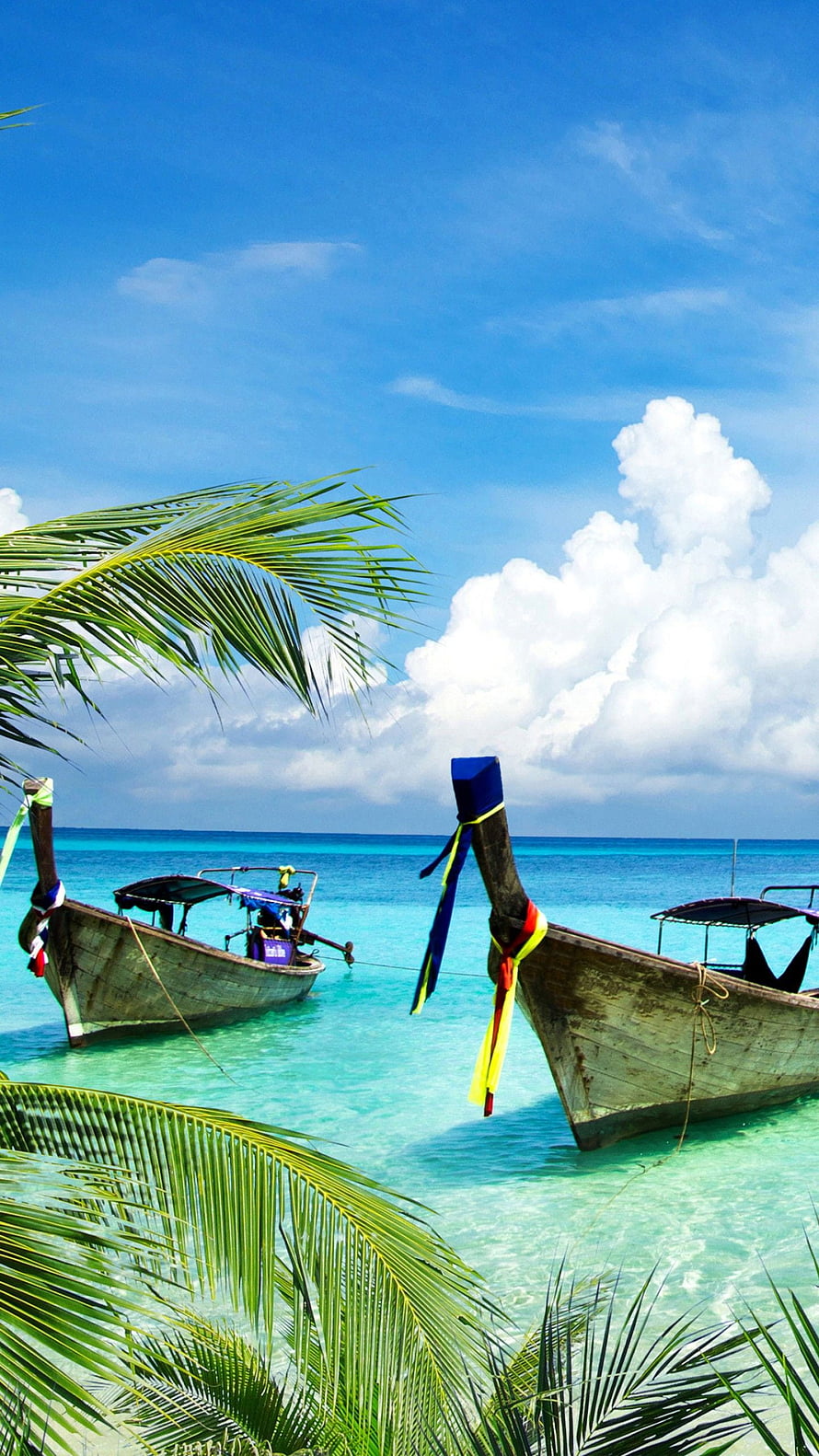 Traditional Thai Longtail Boats Anchored in Turquoise Tropical Waters HD phone wallpaper