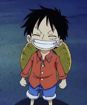 Monkey D. Luffy from One Piece Smiling with Straw Hat and Red Shirt HD phone wallpaper