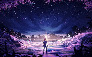 The Legend of Zelda Breath of the Wild Night Sky Constellation Fantasy Art HD wallpaper