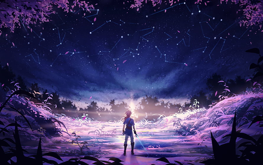 The Legend of Zelda Breath of the Wild Night Sky Constellation Fantasy Art HD wallpaper