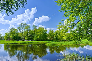 Serene Summer Lake Landscape with Lush Green Trees and Blue Sky Reflection HD wallpaper