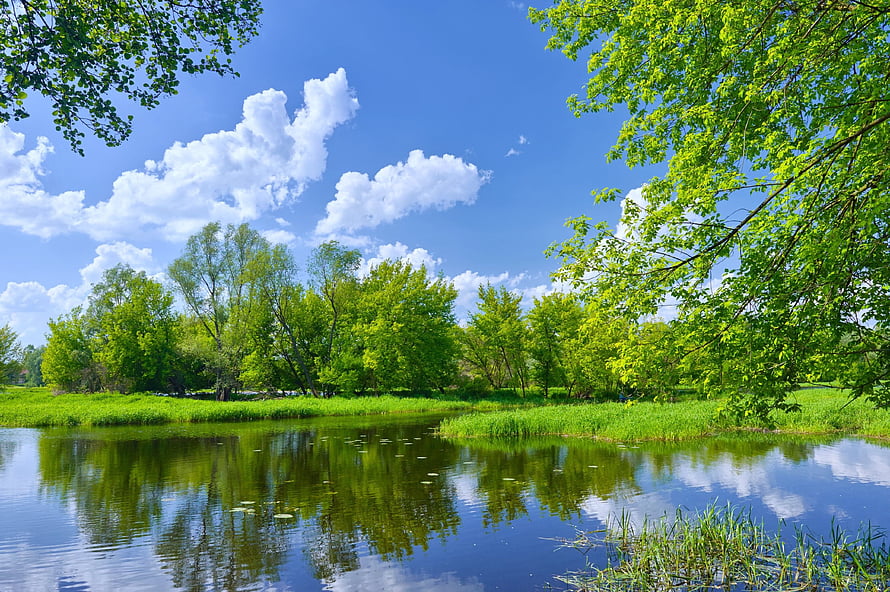 Serene Summer Lake Landscape with Lush Green Trees and Blue Sky Reflection HD wallpaper