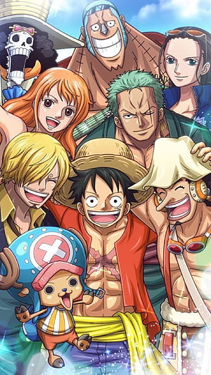 One Piece Straw Hat Pirates Group Portrait Anime Wallpaper HD phone wallpaper