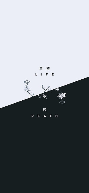 Minimalist Japanese Cherry Blossom Branch Dividing Light and Dark Themes HD phone wallpaper