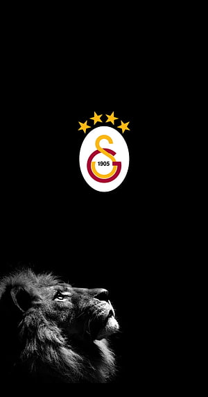 Galatasaray SK Logo with Lion Portrait on Black Background HD phone wallpaper