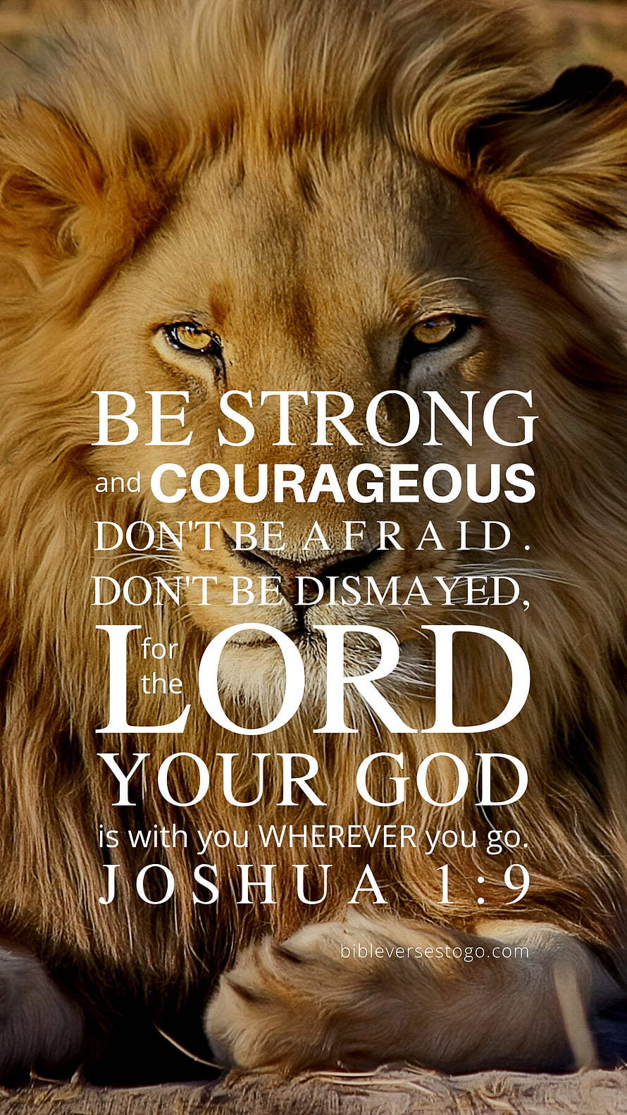 Majestic Lion Close-Up With Joshua 1:9 Bible Verse For Strength And Courage HD phone wallpaper
