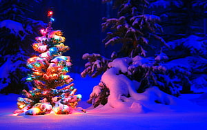 Magical Christmas Tree with Colorful Lights in Snowy Winter Forest at Night HD wallpaper
