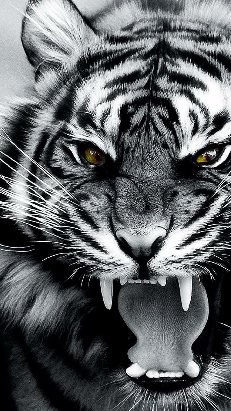 Aggressive White Tiger Roaring Close-Up With Yellow Eyes HD phone wallpaper