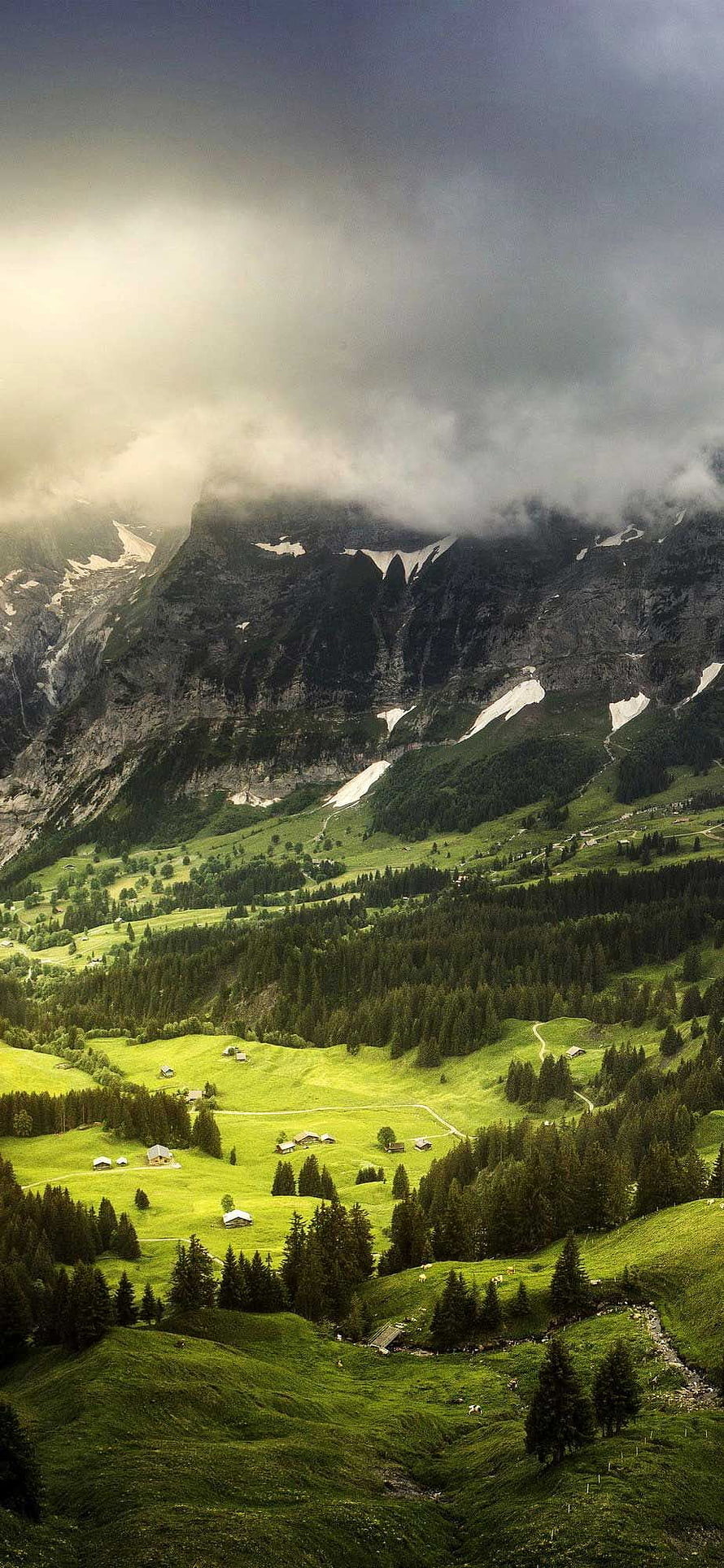 Misty Alpine Valley with Green Pastures and Scattered Cabins in Switzerland HD phone wallpaper