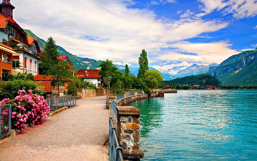 Scenic Lakeside Promenade with Pink Roses and Mountain Views HD wallpaper