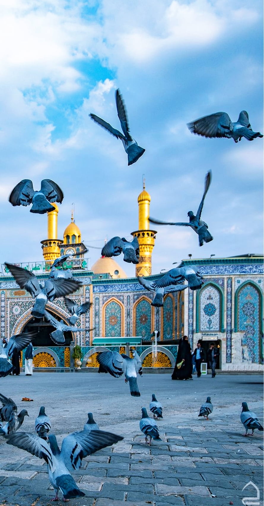 Flock of pigeons flying in front of a mosque with golden minarets and blue tilework HD phone wallpaper