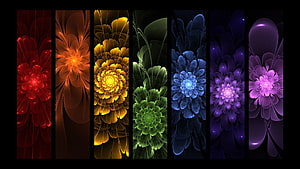 Seven Chakra Energy Centers Displayed as Vibrant Fractal Flowers in a Spectrum of Colors HD wallpaper