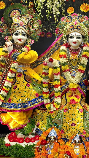 Vibrant Radha Krishna idols adorned in yellow silk and floral garlands for Jagannath Puri festival HD phone wallpaper