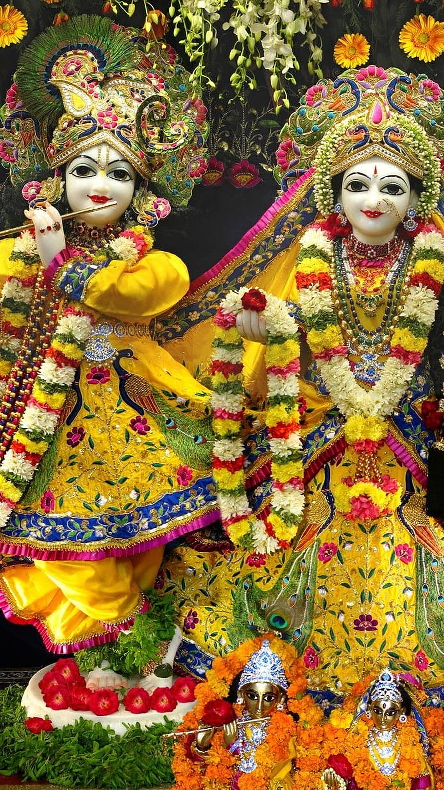 Vibrant Radha Krishna idols adorned in yellow silk and floral garlands for Jagannath Puri festival HD phone wallpaper