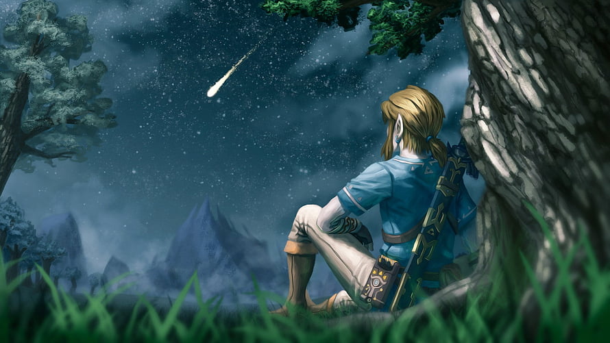 Link from The Legend of Zelda: Breath of the Wild gazing at a shooting star in a moonlit forest HD wallpaper