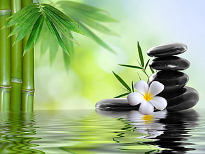 Serene Spa Still Life with Stacked Stones, Frangipani Flower, and Bamboo Reflections HD wallpaper