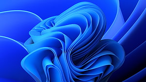 Windows 11 Default Blue Abstract Flower Wallpaper HD wallpaper