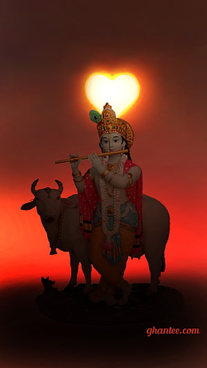 Lord Krishna Playing Flute With Heart Shaped Sun Background HD phone wallpaper