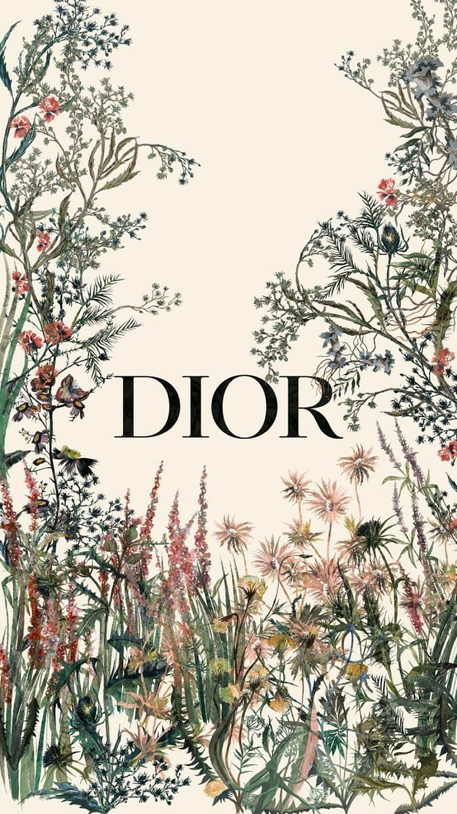 Dior Botanical Illustration Wallpaper with Vintage Wildflower Arrangement HD phone wallpaper