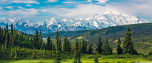 Alaska Range Snow-Capped Peaks Rising Above Lush Green Forest and Rolling Hills HD wallpaper