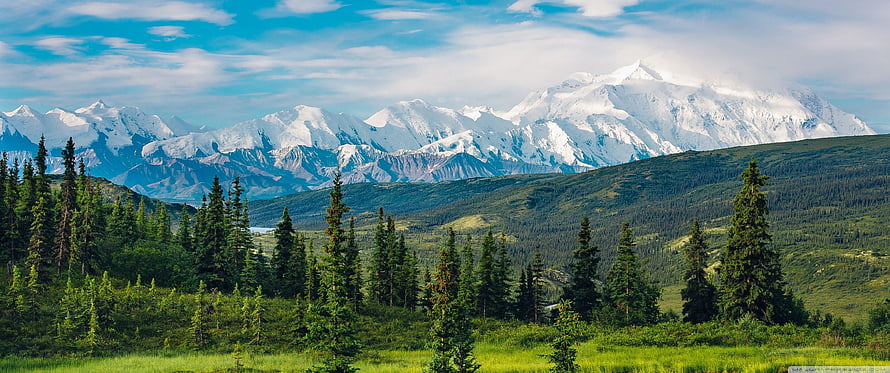 Alaska Range Snow-Capped Peaks Rising Above Lush Green Forest and Rolling Hills HD wallpaper