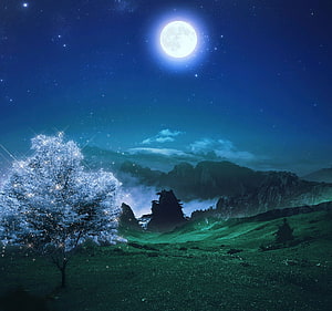 Luminous Full Moon Over Misty Mountain Valley With Glowing Tree HD wallpaper