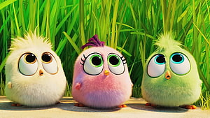 Three Fluffy Baby Birds from The Angry Birds Movie 2 Standing in Tall Green Grass HD wallpaper