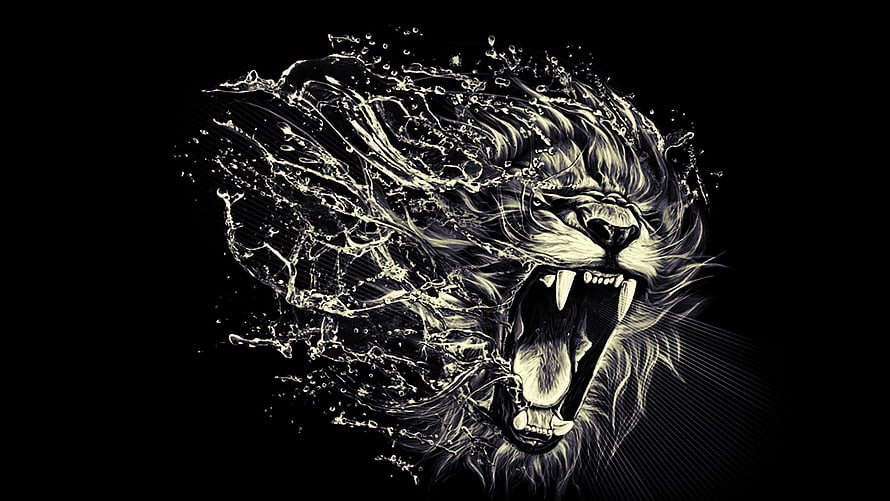 Fierce Roaring Lion Head With Water Splash Effect On Black Background HD wallpaper