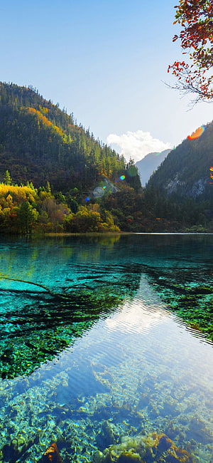 Crystal Clear Turquoise Lake Water with Submerged Logs and Autumn Forest Mountains HD phone wallpaper