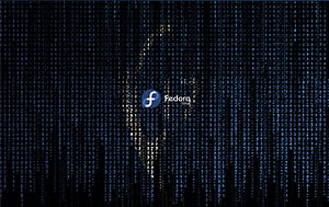 Fedora Linux Logo Against Digital Matrix Code Rain Background HD wallpaper