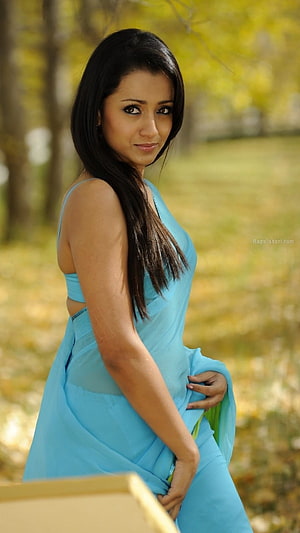 Trisha Krishnan in a light blue saree posing outdoors with a soft autumn background HD phone wallpaper