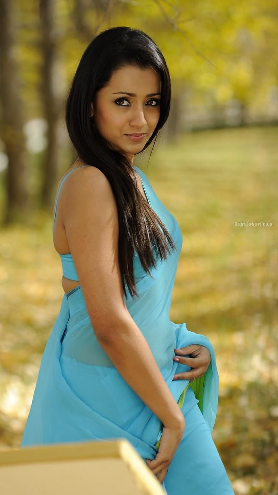 Trisha Krishnan in a light blue saree posing outdoors with a soft autumn background HD phone wallpaper