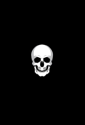 Minimalist White Human Skull Vector Illustration on Black Background, Minimal, skull, dark, artwork HD phone wallpaper