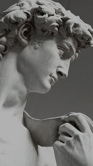 Close-up of a classical marble sculpture head with curly hair and draped fabric HD phone wallpaper